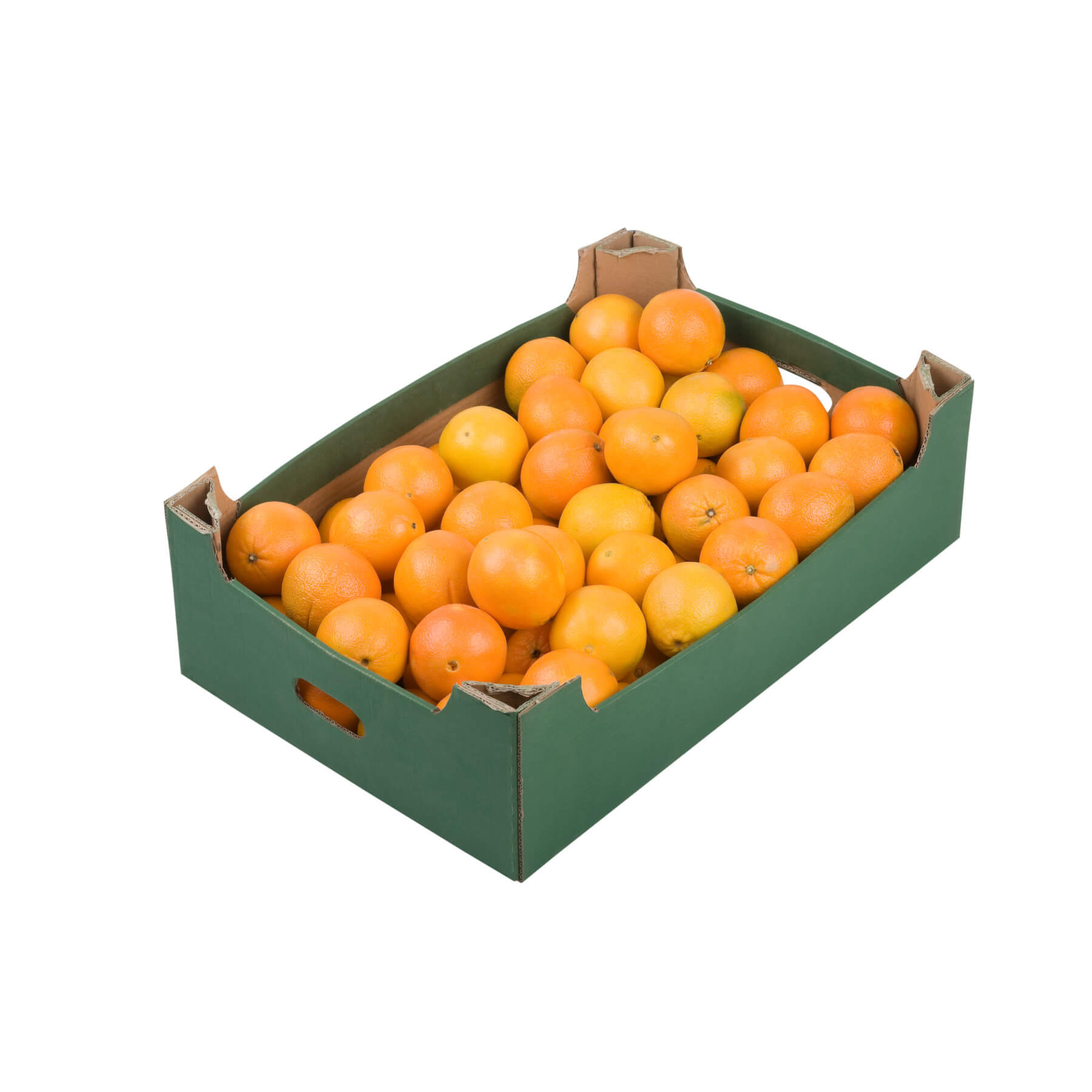 ZITRONEN 9,5 KG Türkiye main image 1