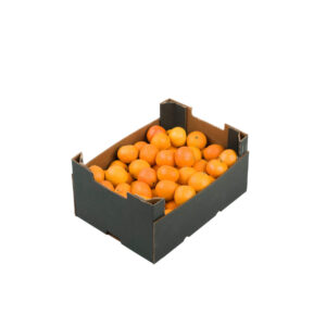 iStock-119792139-1800x1800